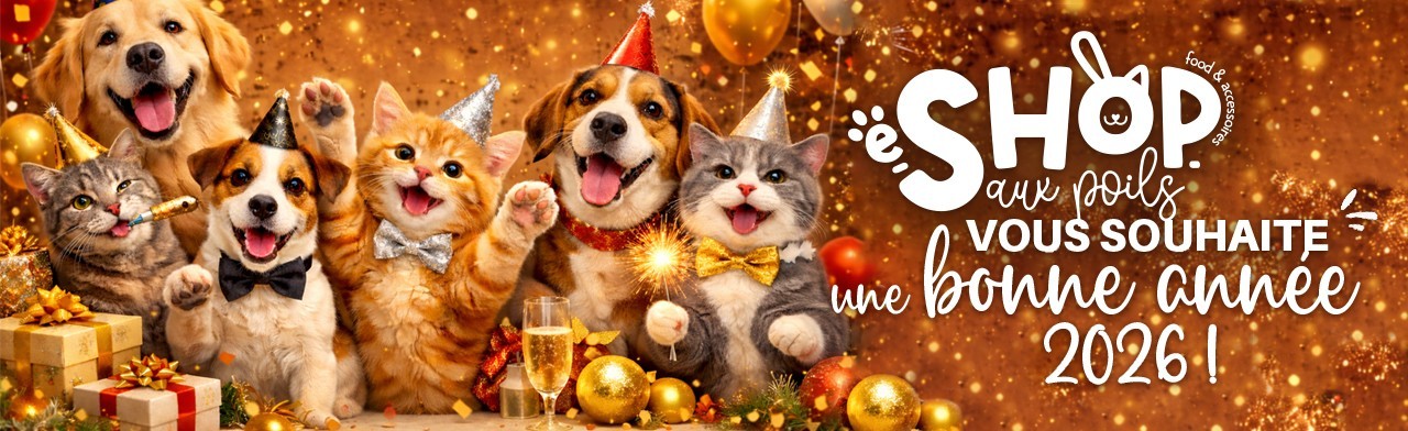 joyeuses fetes eshopauxpoils